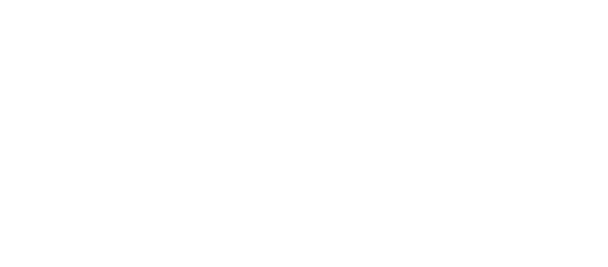 Castle At Swan Lake Hotel